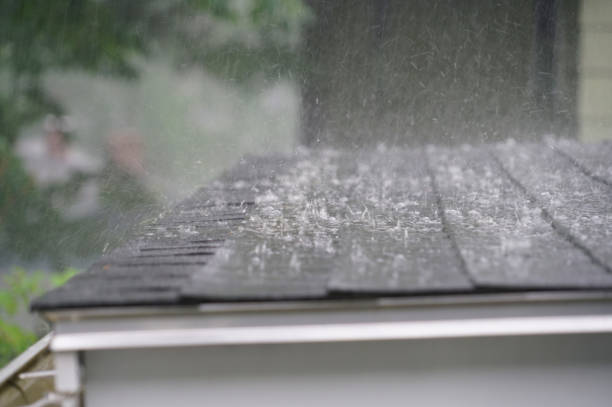 Best Roof Insulation Installation  in Morrilton, AR